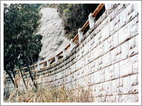 �ѓ������^�ӂ邳�ƗыƋً}�������Ɓ@�����`�i�c���i�{�茧�j